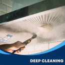 Handheld Steam Cleaner