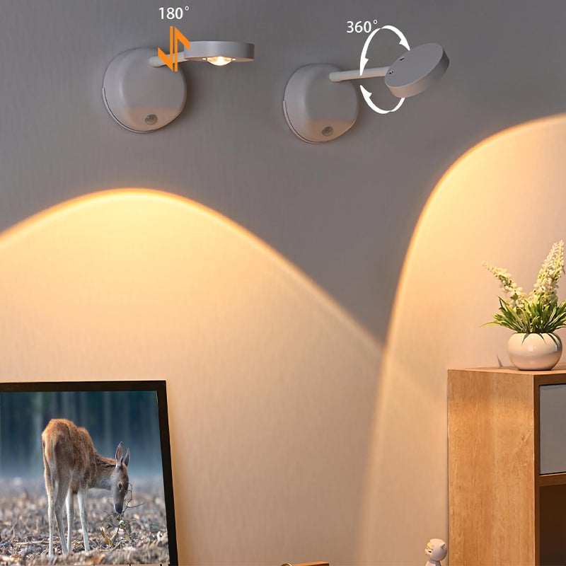 LED Intelligent Human Body Induction Wall Light
