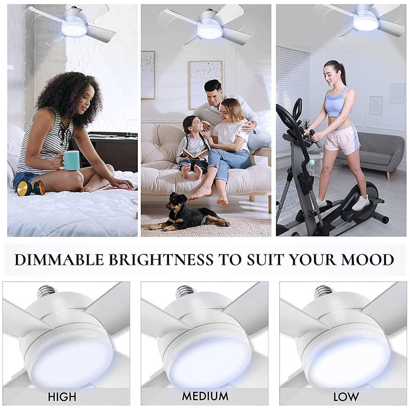 Ceiling Fan with Remote & LED Light