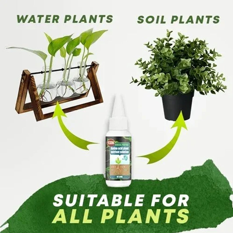 Plant Nutrient Solution