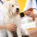 Low Noise Electric Carpet Trimmer